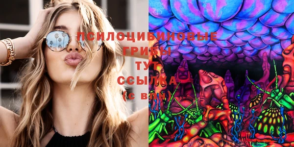 соль ск Ельня