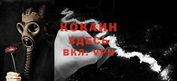 соль ск Ельня