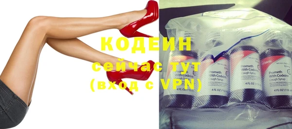 соль ск Ельня