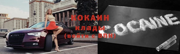 соль ск Ельня