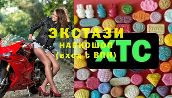 соль ск Ельня