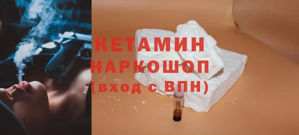 соль ск Ельня