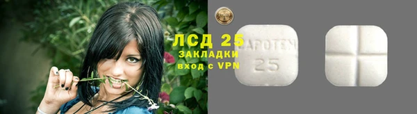 соль ск Ельня