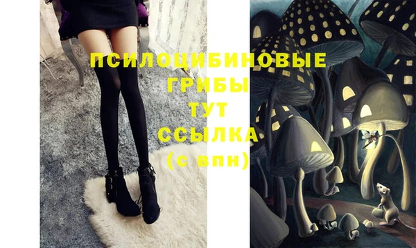 соль ск Ельня