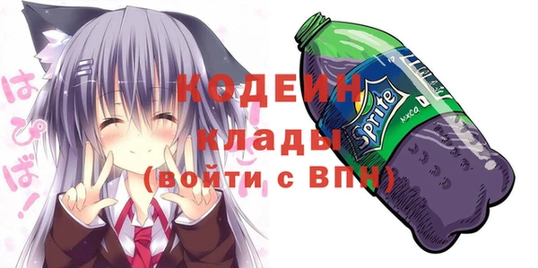 соль ск Ельня