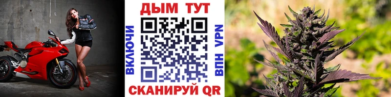 Бошки марихуана White Widow  Купить закладки  Джанкой 